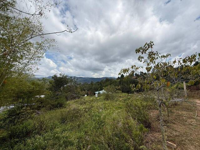#10 - Quinta para Venta en Dagua - VAC - 1