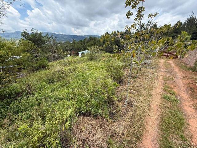 #10 - Quinta para Venta en Dagua - VAC - 2