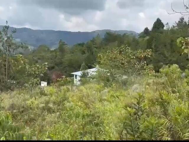 #10 - Quinta para Venta en Dagua - VAC - 3