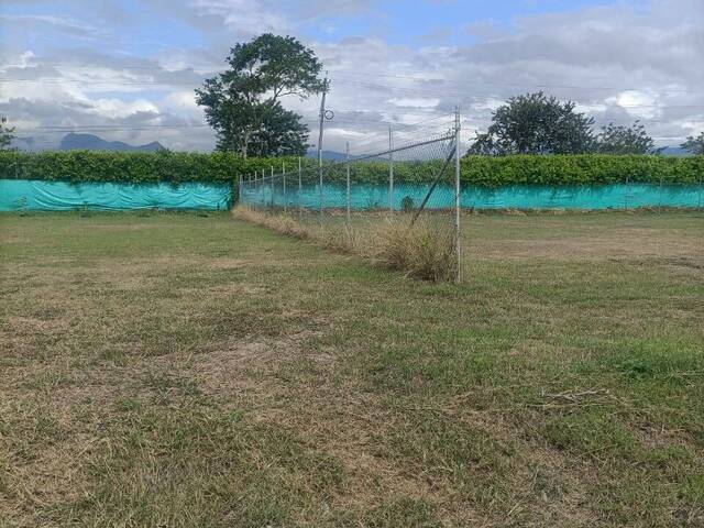 Quinta para Venta en Palmira - 4