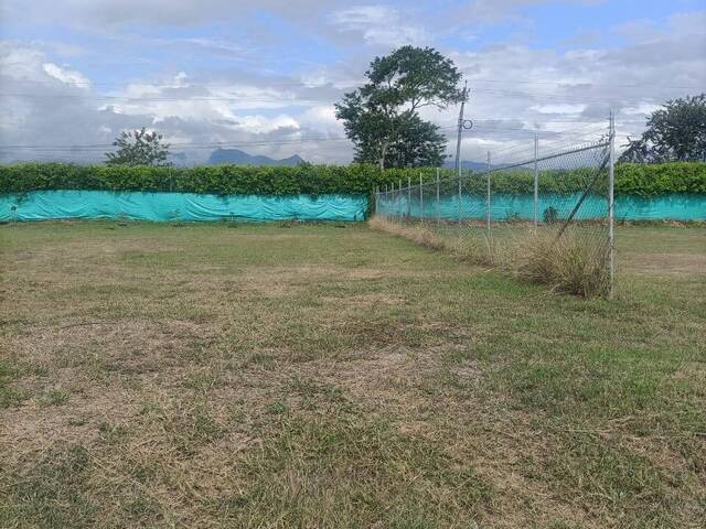 Quinta para Venta en Palmira - 5